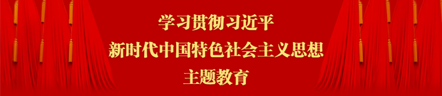 学习贯彻习近平新时代中国特色社会主义思想主题教育